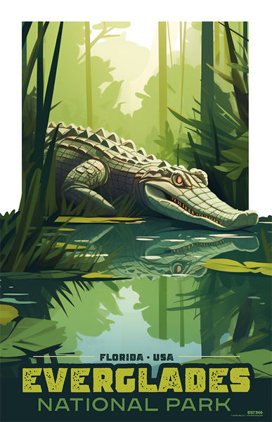 Everglades_florida_gator_11x17