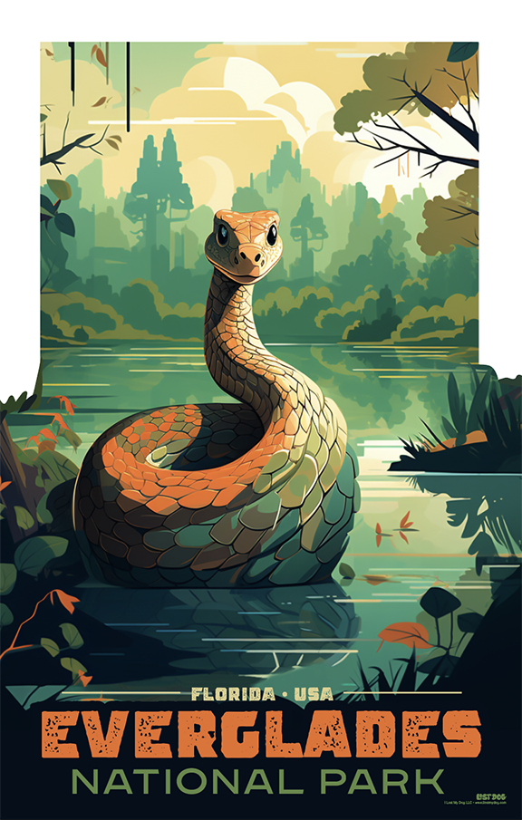 Florida Everglades Wildlife: Snake Illustration