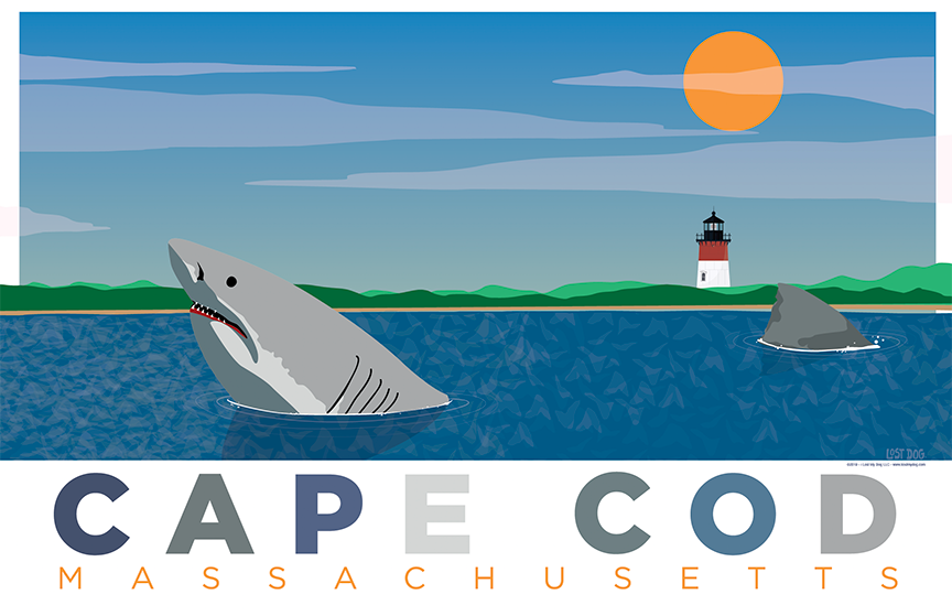 Sharks of Cape Cod