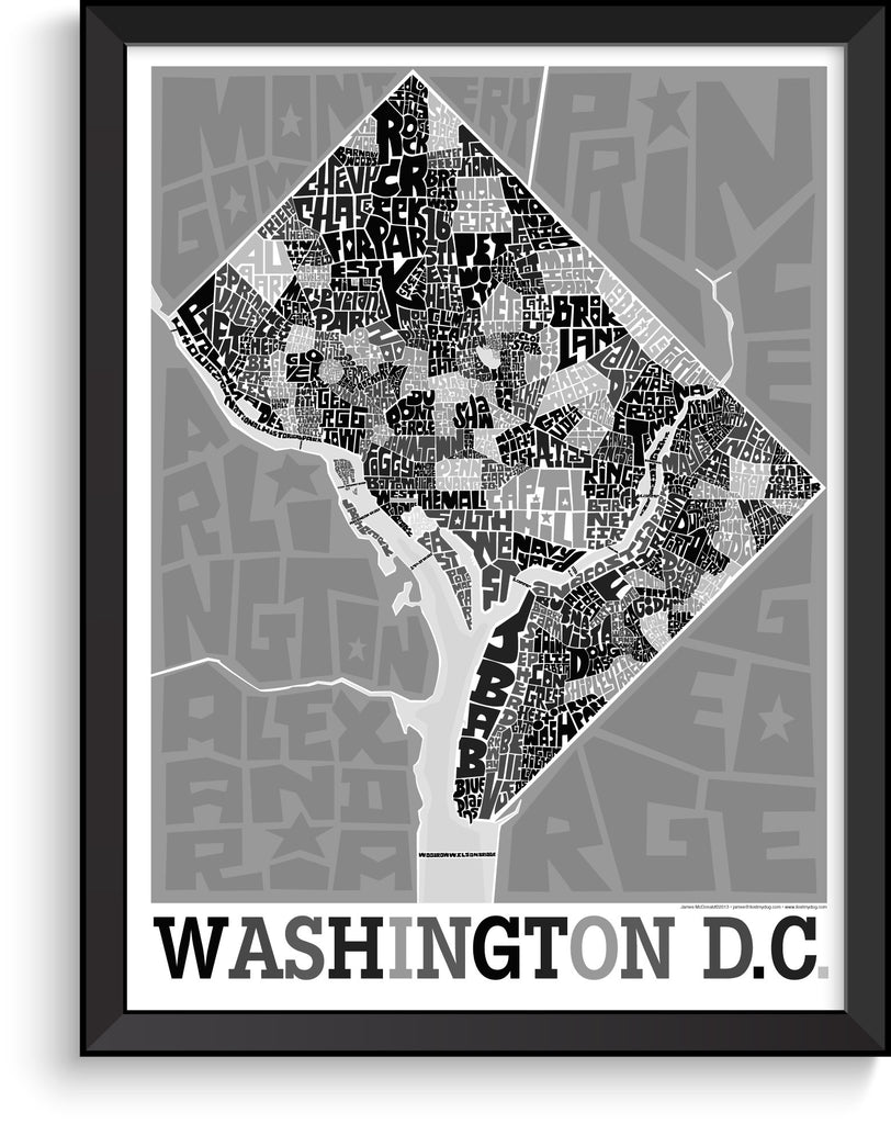 Washington DC Neighborhood Type Map