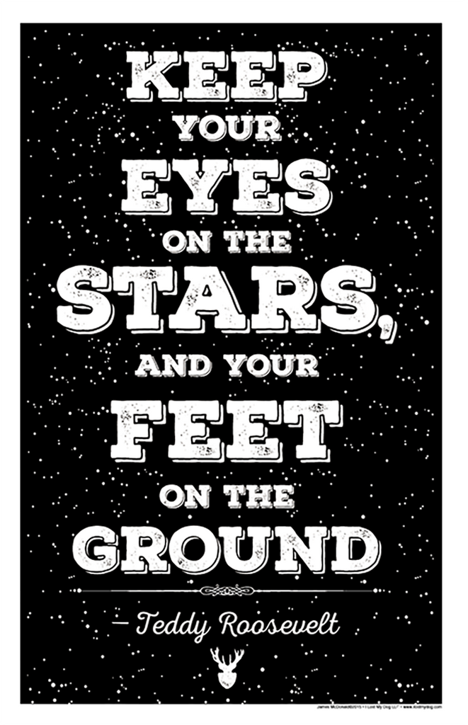 Eyes on the Stars - Teddy Rooselvelt Quote
