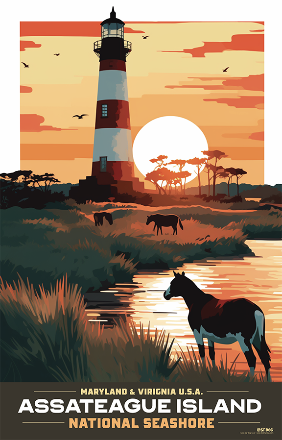 Assateague Island Lighthouse and Wild Horses Beach Illustration