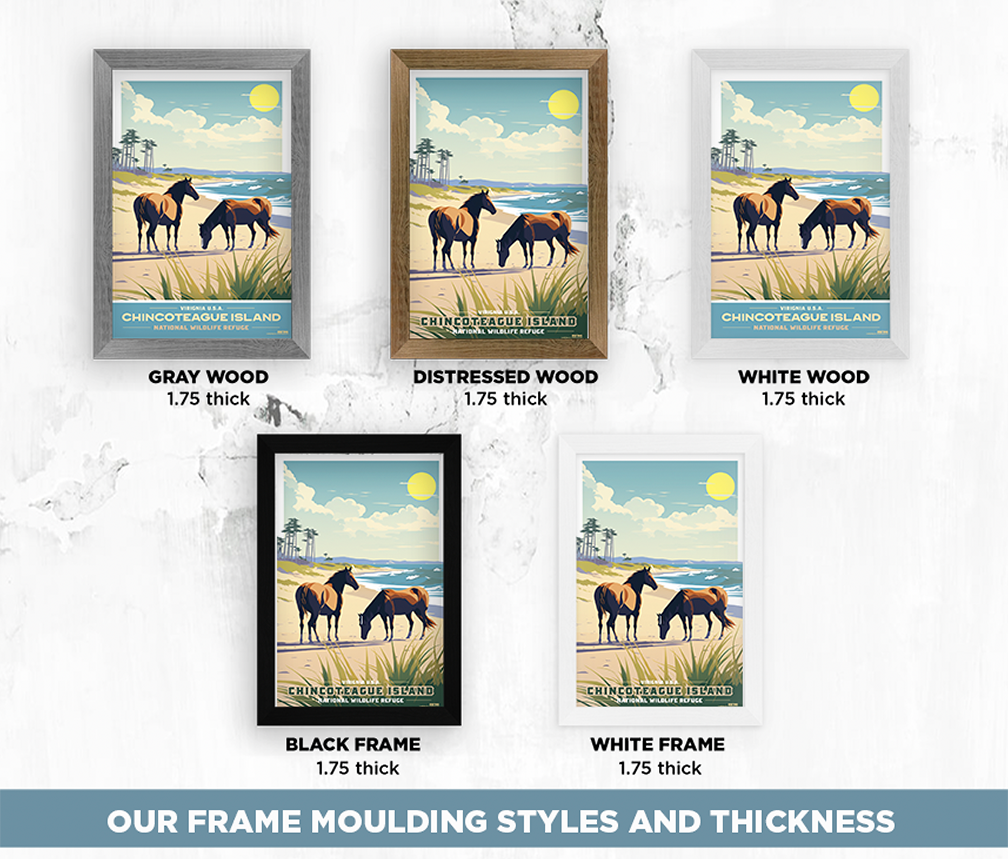 Chincoteague Island National Park Wild Horses Beach Illustration