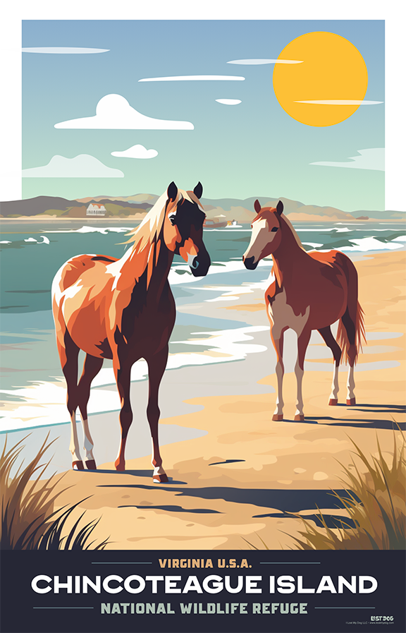 Chincoteague Island National Park Wild Horses Illustration