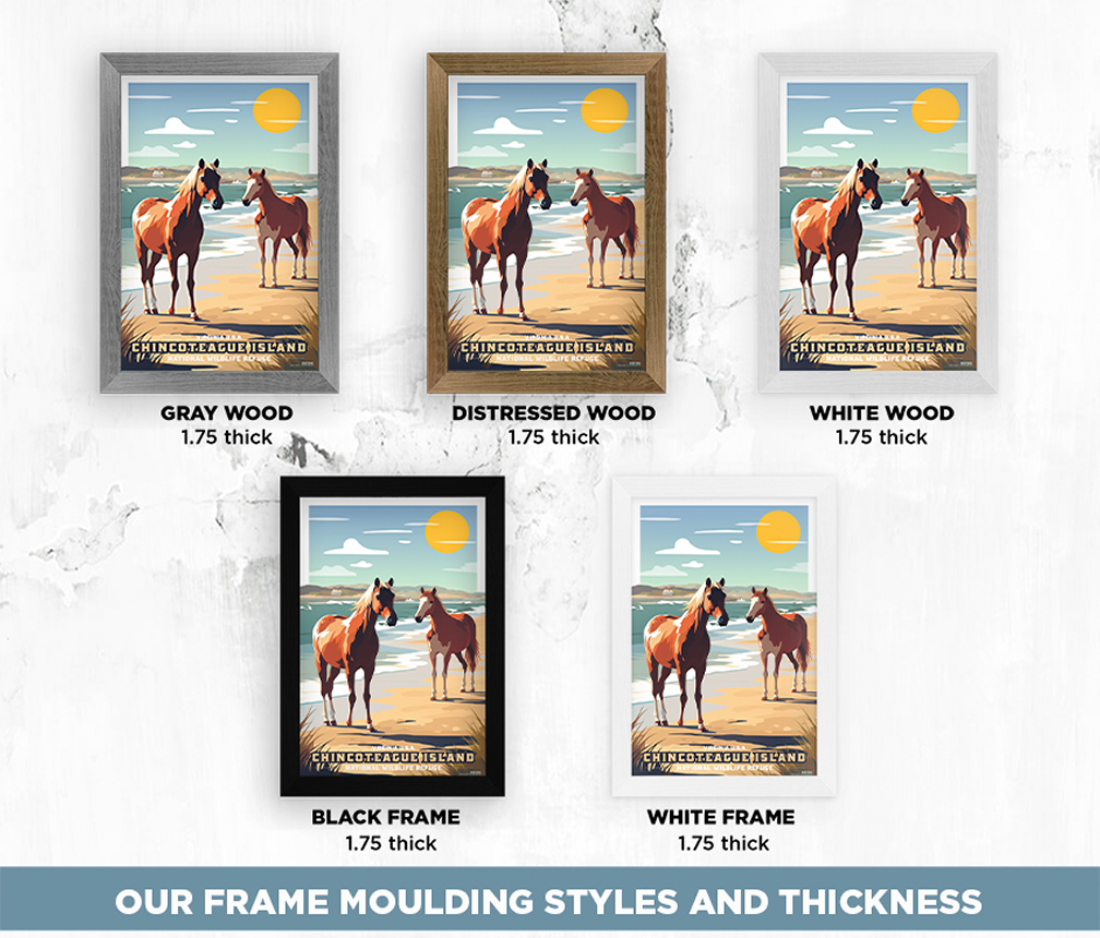 Chincoteague Island National Park Wild Horses Illustration