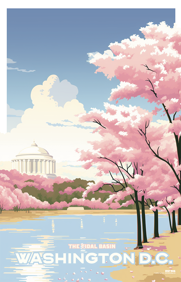 Cherry Blossoms Tidal Basin, Washington DC Illustration