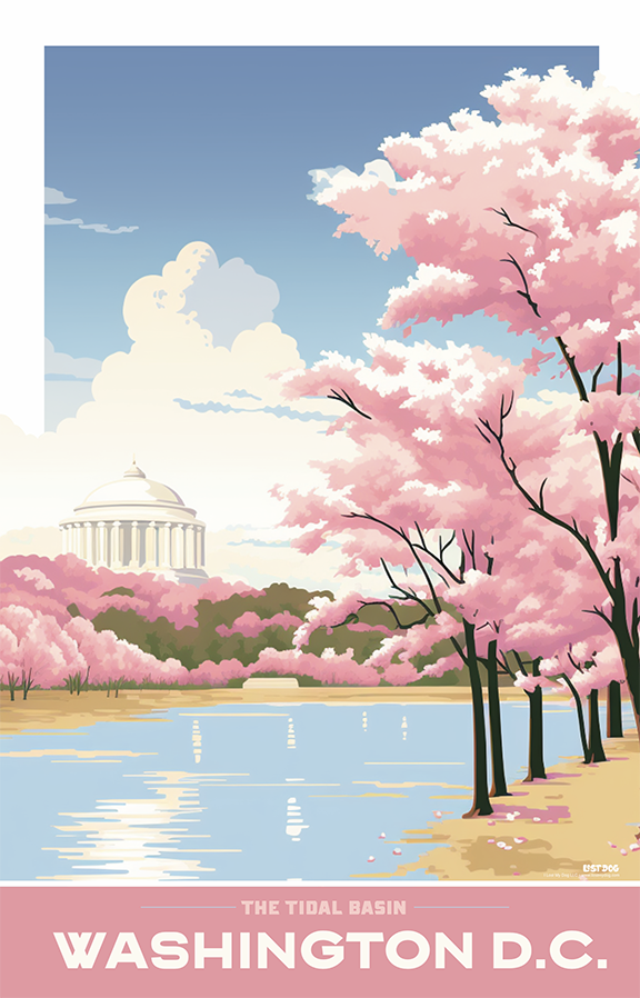 Cherry Blossoms Tidal Basin, Washington DC Illustration