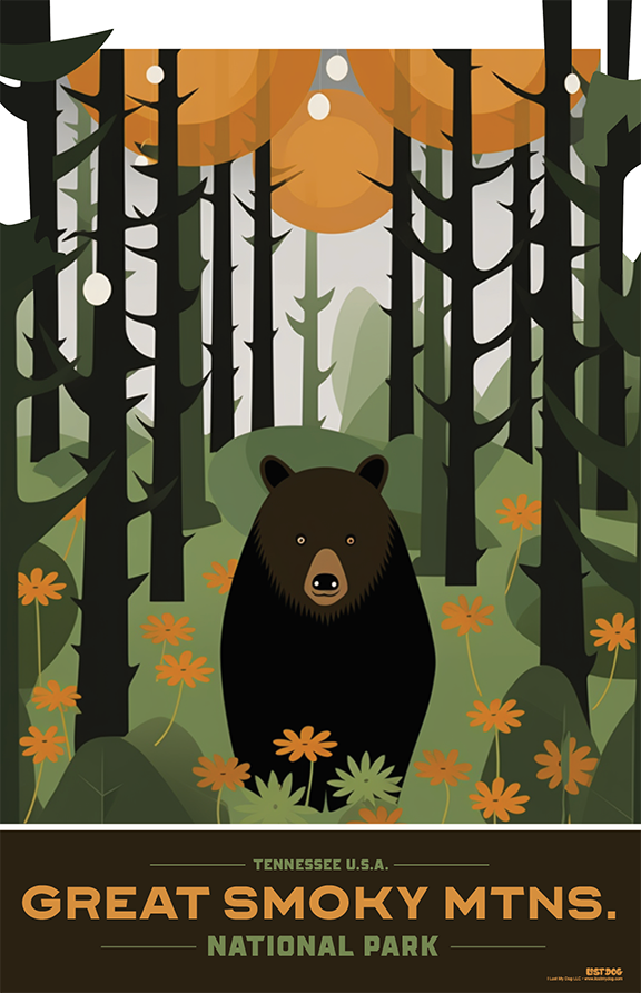 Great Smoky Mountains National Park Illustration