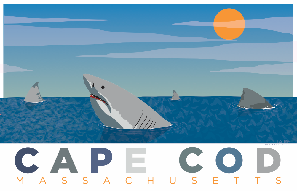 Sharks of Cape Cod