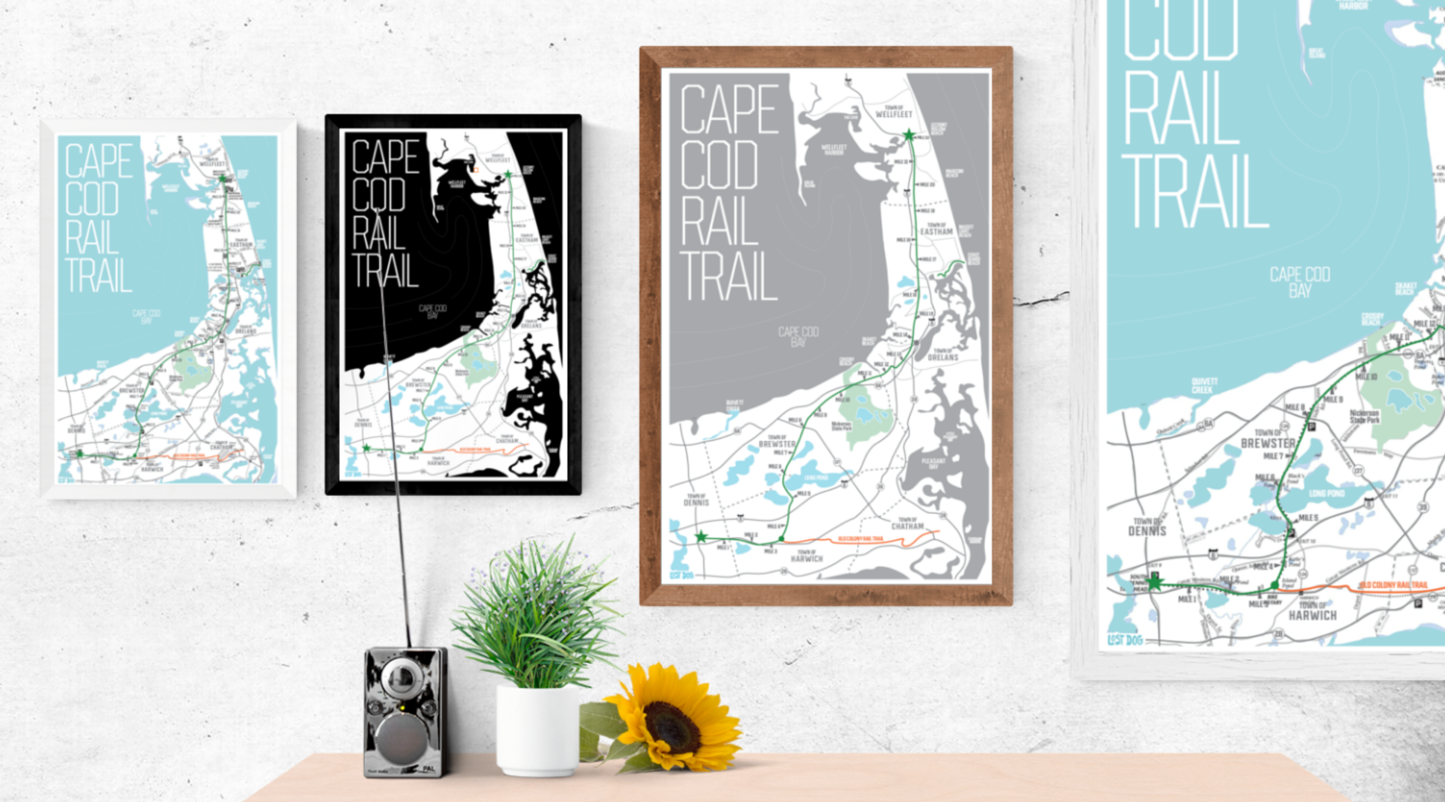 Cape Cod Illustrated Map – LOST DOG Art & Frame