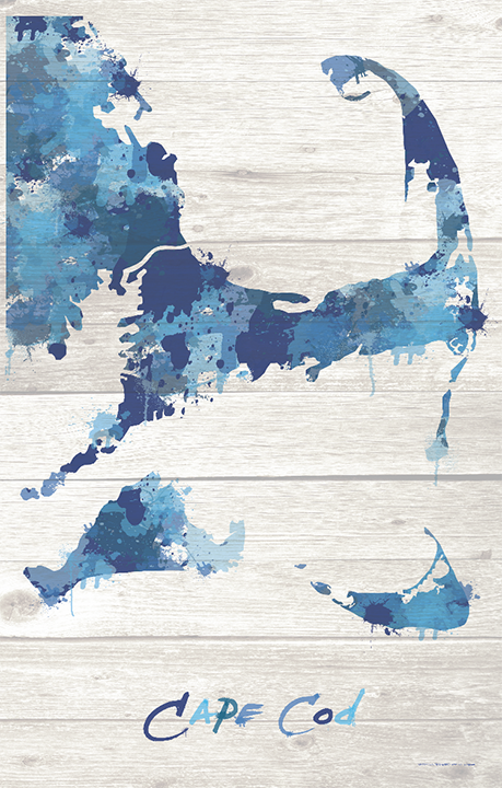 Cape Cod Paint Splatter Silhouette