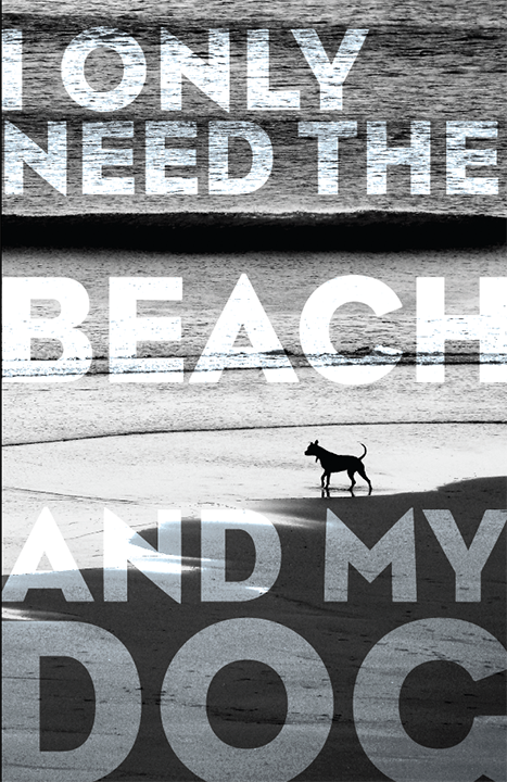 The BEACH & my DOG