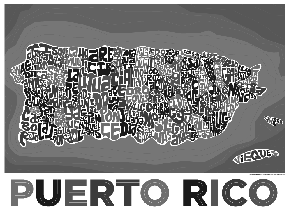 Puerto Rico Type Map