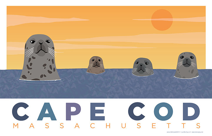 Seals of Cape Cod