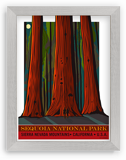 Sequoia National Park Poster