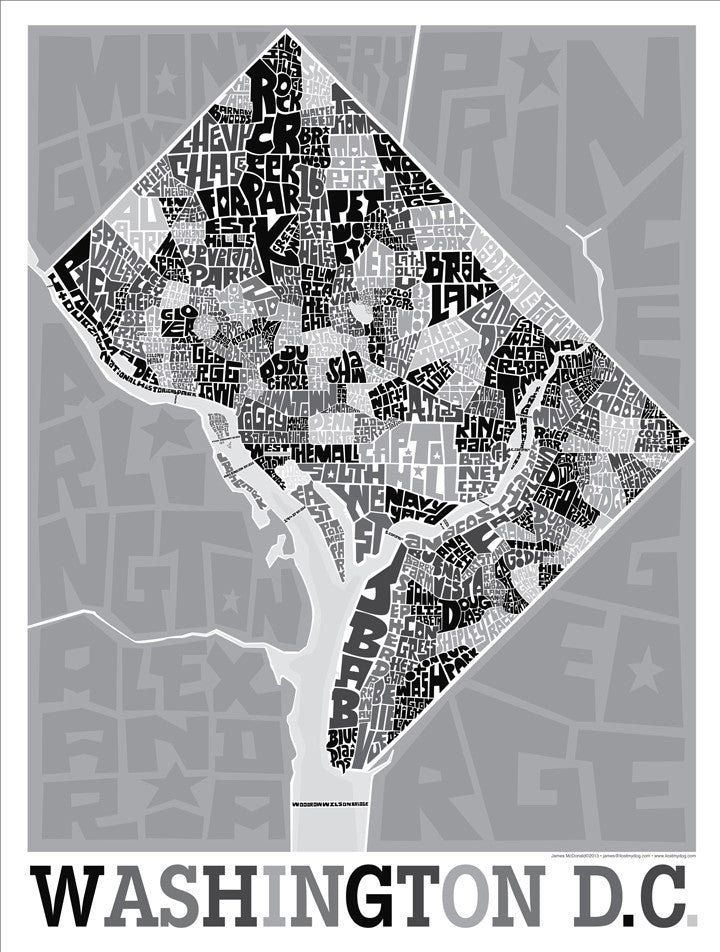 Washington DC Neighborhood Type Map