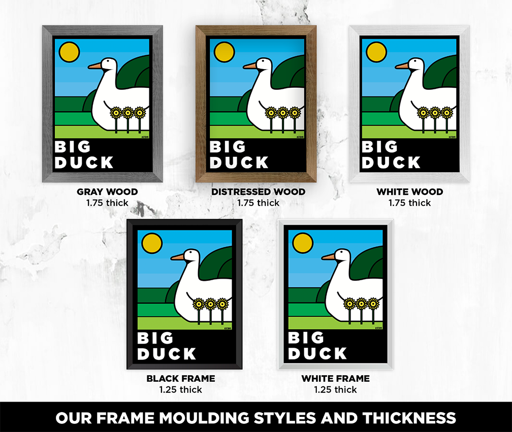 The Giant Duck: Thick Line Series