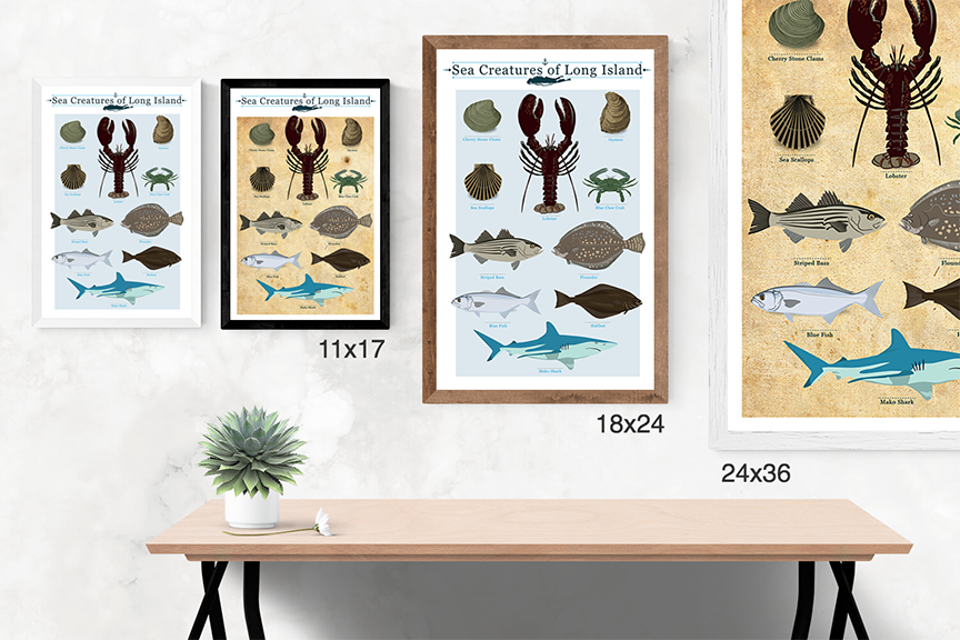 Long Island Sea Creatures Chart