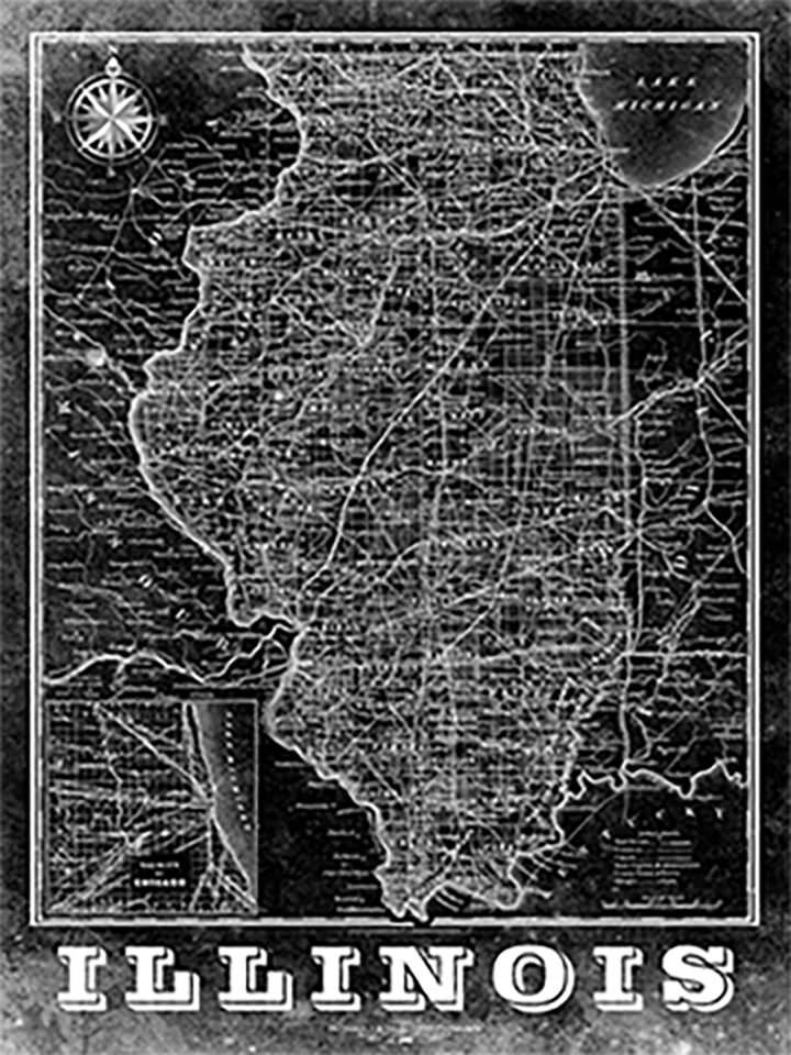 Illinois Vintage Map