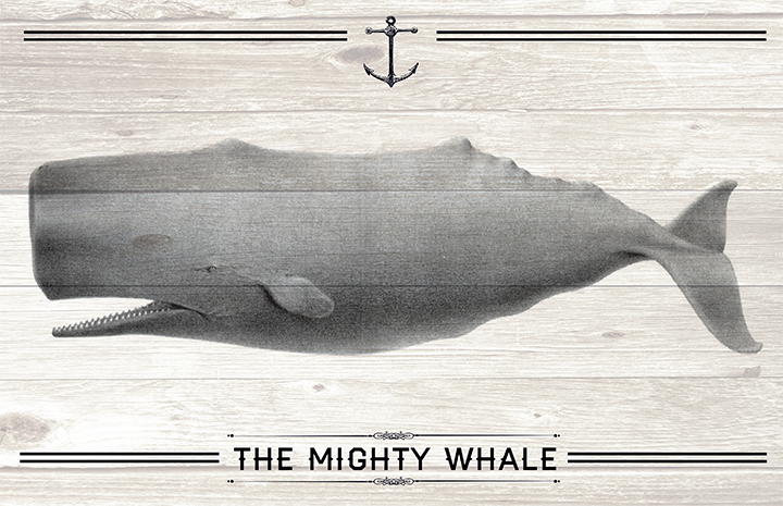 The Mighty Whale