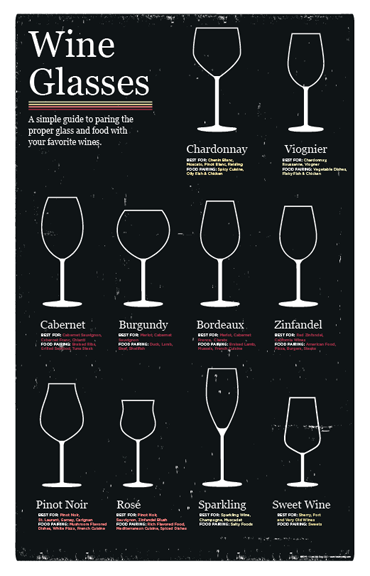 Types of Wine Glasses (Infographic) for Beginners